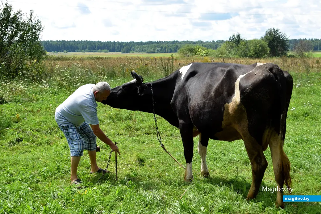 7.08.2024. д. Победа Кличевский район. В гостях у Таисии Ивановны Кушнеровой и Вадима Аркадьевича Шубина.
