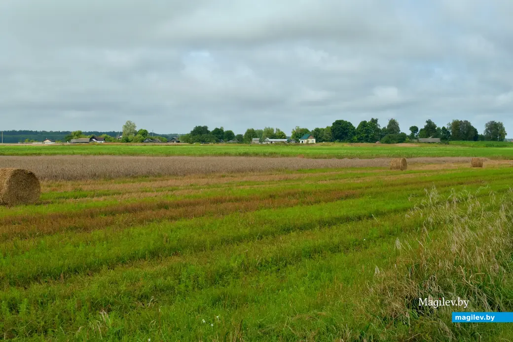 7.08.2024. д. Победа Кличевский район. В гостях у Таисии Ивановны Кушнеровой и Вадима Аркадьевича Шубина.