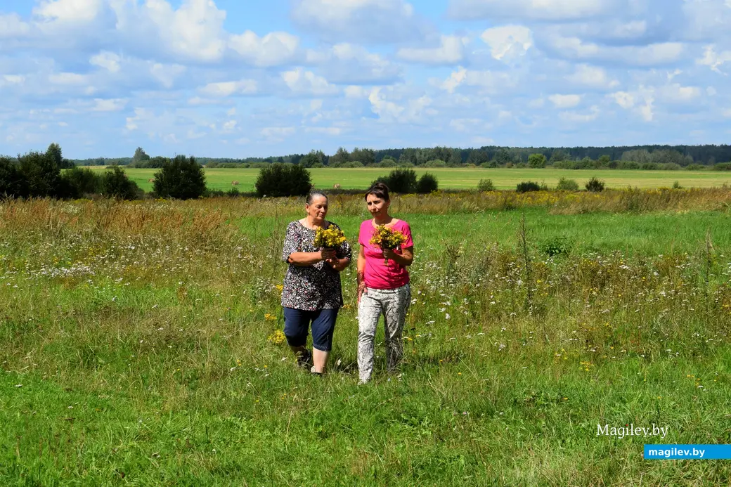 7.08.2024. д. Победа Кличевский район. В гостях у Таисии Ивановны Кушнеровой и Вадима Аркадьевича Шубина.