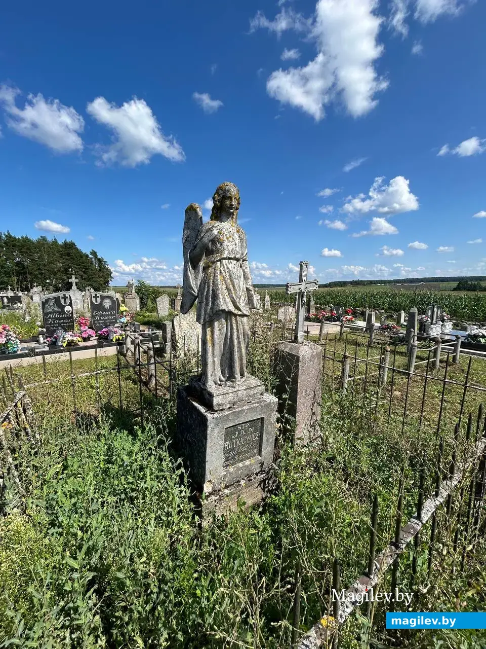 Старое кладбище в Конвелишках, лето 2024 г.