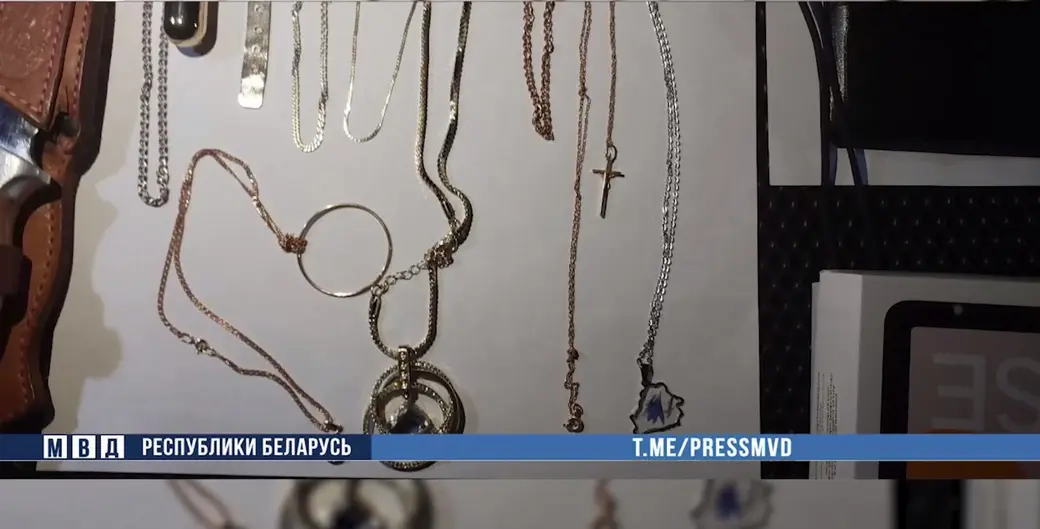 Похищенные вещи обнаружены в съемной квартире. Фото: МВД РБ