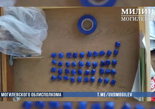 В Чаусском районе с поличным задержан наркозакладчик. Ему грозит до 20 лет лишения свободы