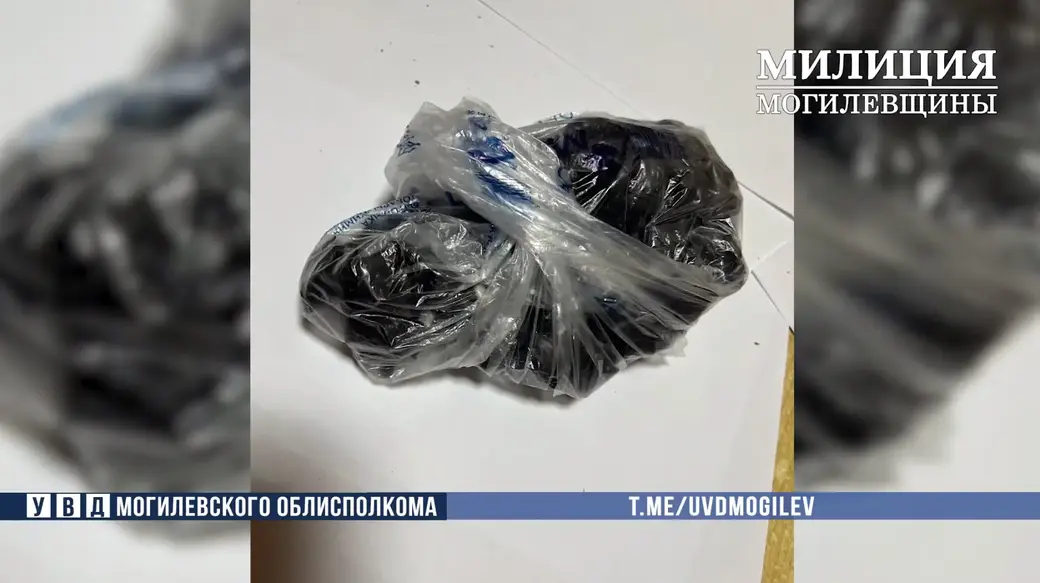 Фото: УВД облисполкома