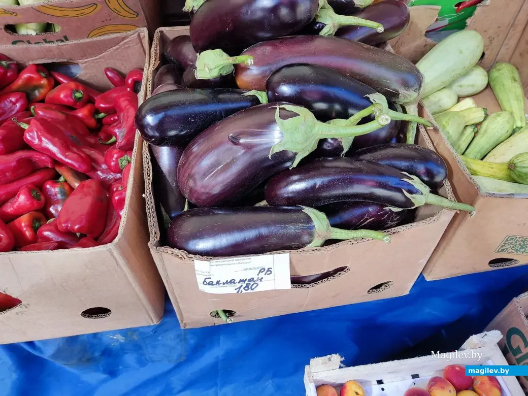 14.08.2024 г. Могилев, Центральный (Минский) рынок