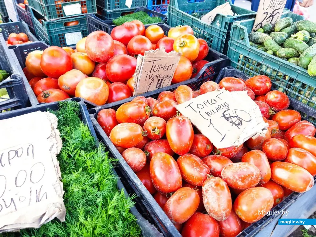 14.08.2024 г. Могилев, Центральный (Минский) рынок