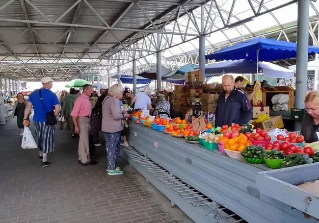 Ставка на баклажановую икру: отправились на Центральный рынок Могилева, приценились, закупились, подсчитали стоимость баночки