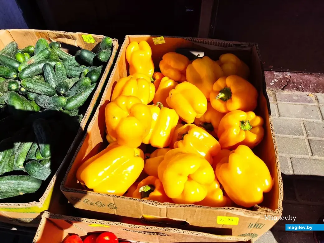14.08.2024 г. Могилев, Центральный (Минский) рынок