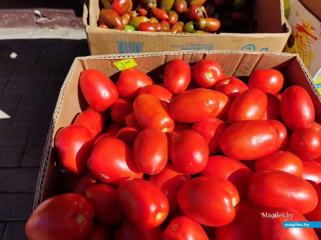 14.08.2024 г. Могилев, Центральный (Минский) рынок