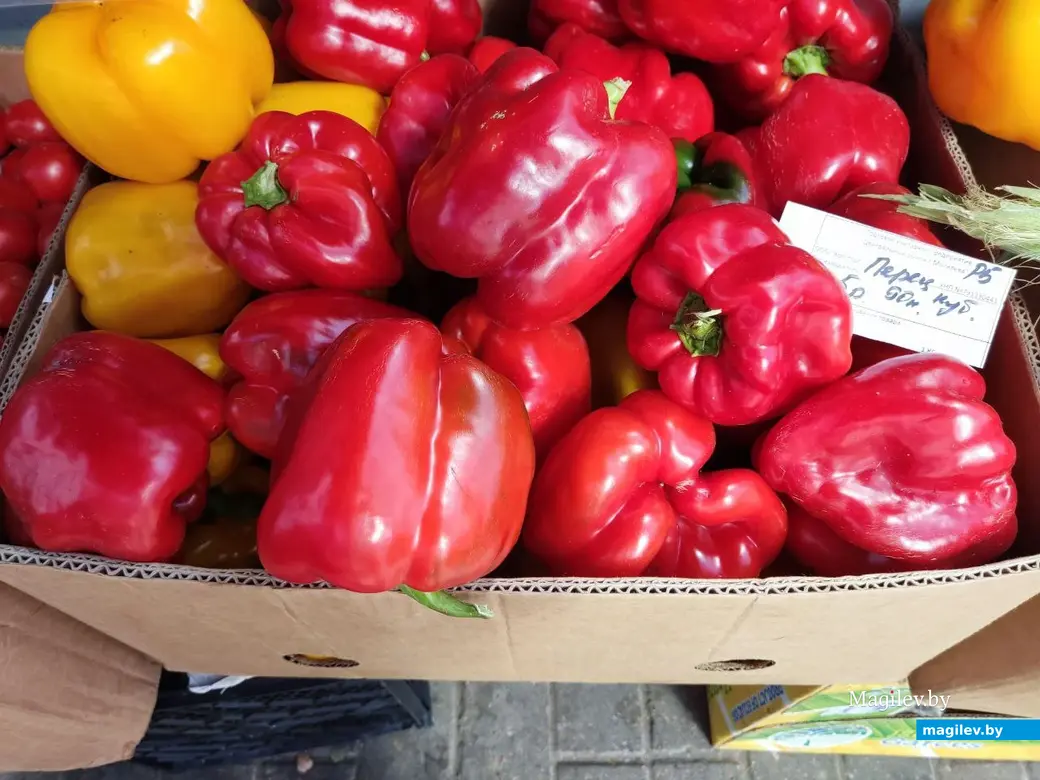 14.08.2024 г. Могилев, Центральный (Минский) рынок