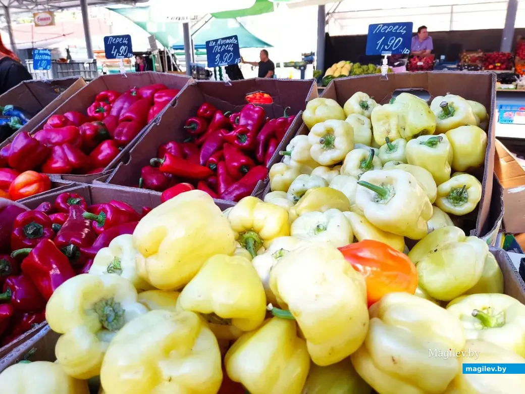 14.08.2024 г. Могилев, Центральный (Минский) рынок