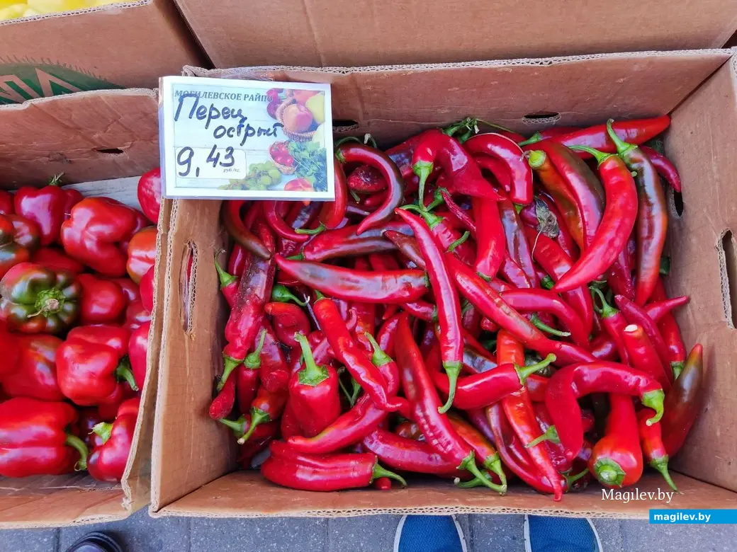 14.08.2024 г. Могилев, Центральный (Минский) рынок