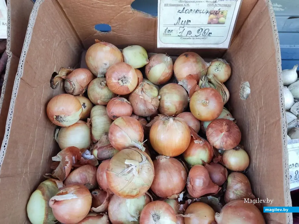 14.08.2024 г. Могилев, Центральный (Минский) рынок