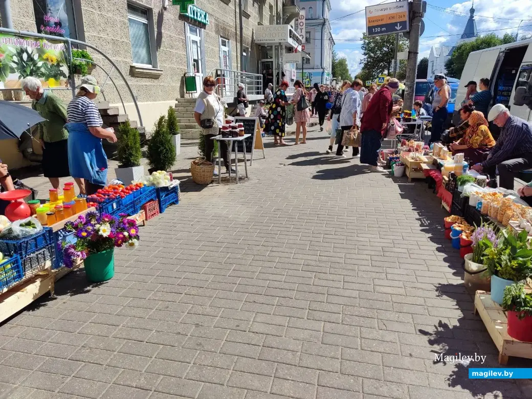 14.08.2024 г. Могилев, Центральный (Минский) рынок