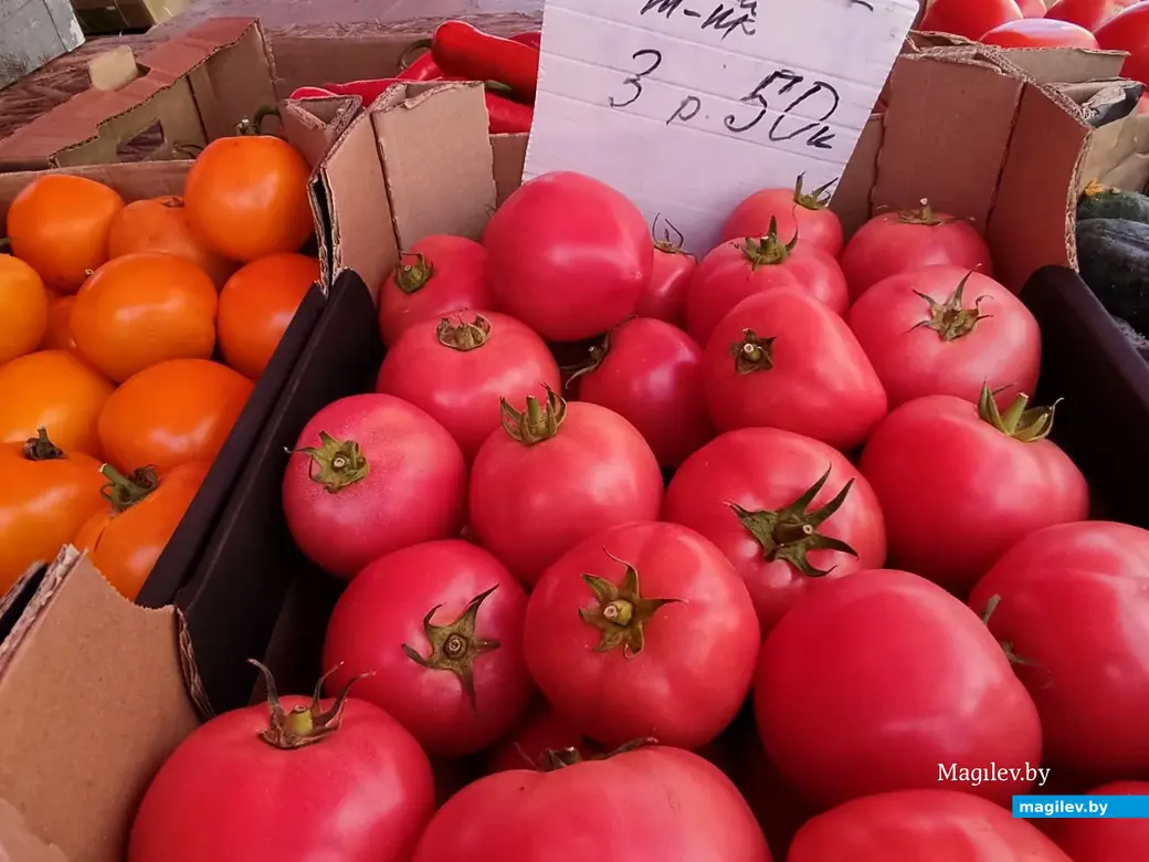 14.08.2024 г. Могилев, Центральный (Минский) рынок