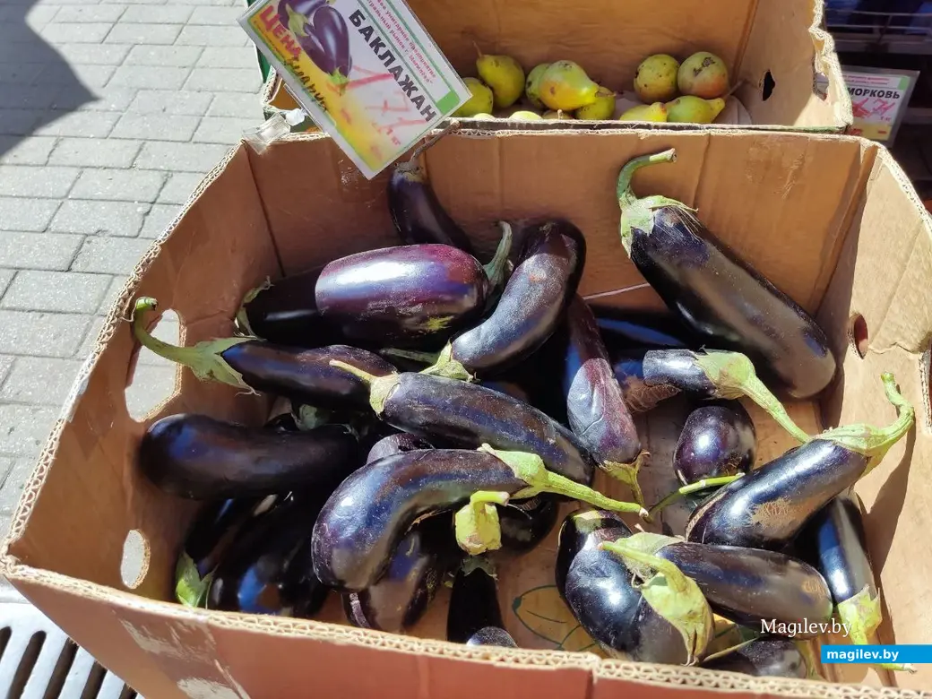 14.08.2024 г. Могилев, Центральный (Минский) рынок