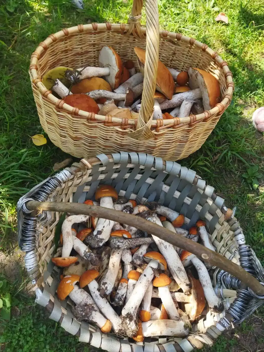 Улов Юлии и Натальи Кленье из Бобруйска.