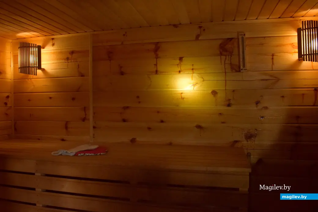 7.08.2024. д. Победа Кличевский район. В гостях у Таисии Ивановны Кушнеровой и Вадима Аркадьевича Шубина.