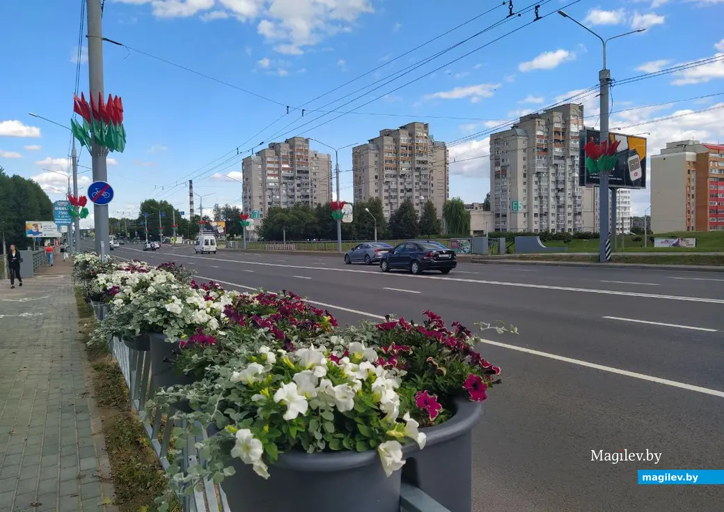 Август 2024 года. Могилев. Проспект Димитрова.