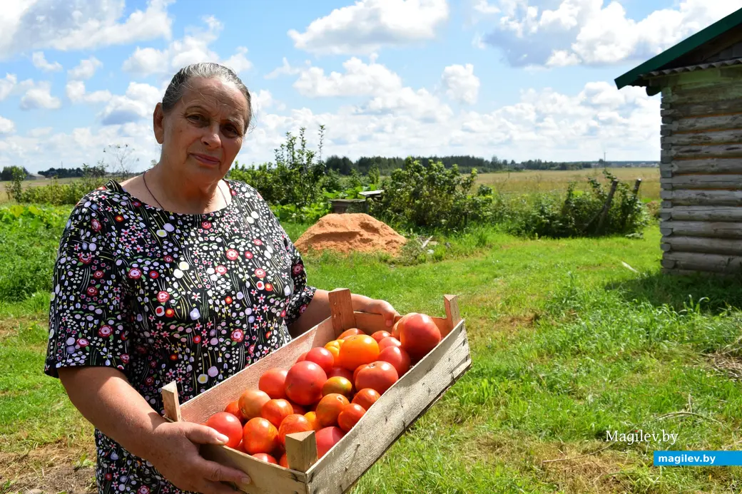 7.08.2024. д. Победа Кличевский район. В гостях у Таисии Ивановны Кушнеровой и Вадима Аркадьевича Шубина.