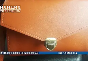 Убирал в парке и нашел сумочку с 700 рублями. Заведено уголовное дело