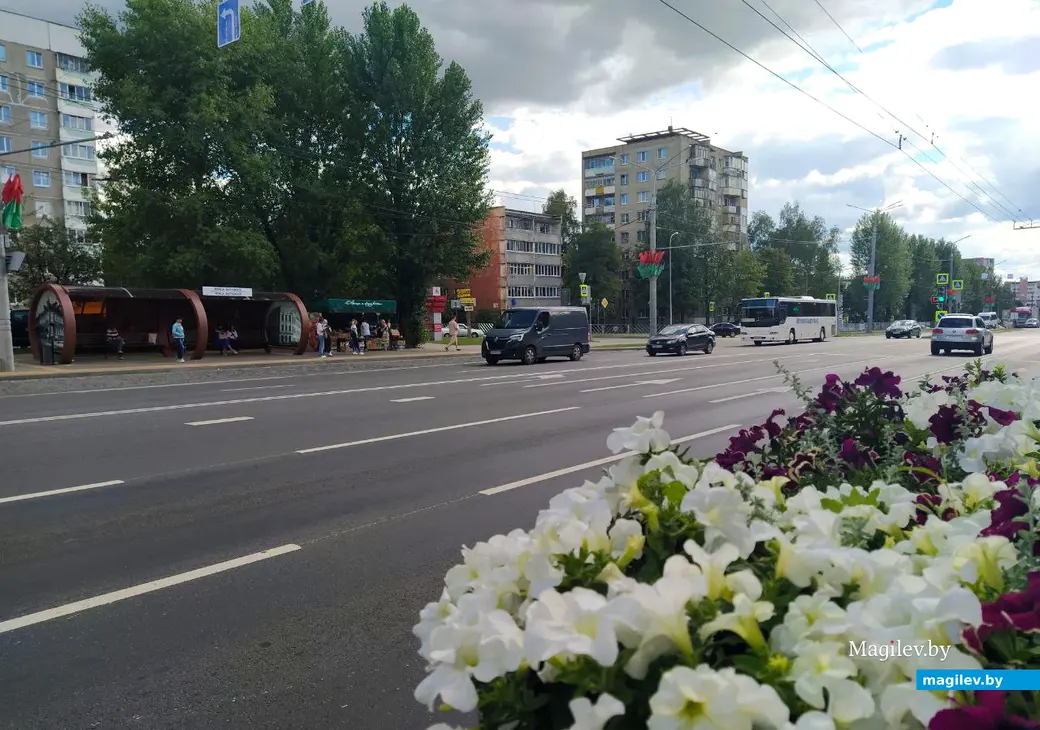 Август 2024 года. Могилев. Проспект Димитрова.