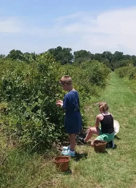 Мальчик сам не только готовит, но и собирает ягоды для своих пирогов. Фото Roseanne Parsons.