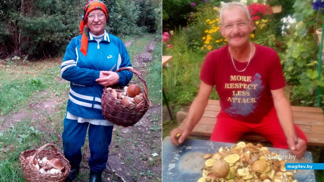 Находки Александра Тейнина из Горок и его супруги Нины Мартыновой.