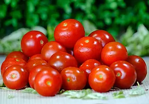 Беларусь с 1 ноября вводит лицензирование вывоза томатов