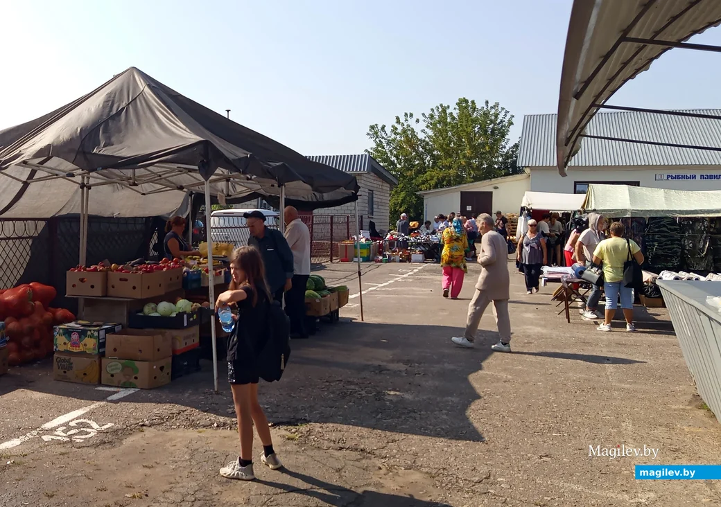 21.08.2024 г. Глусский рынок.