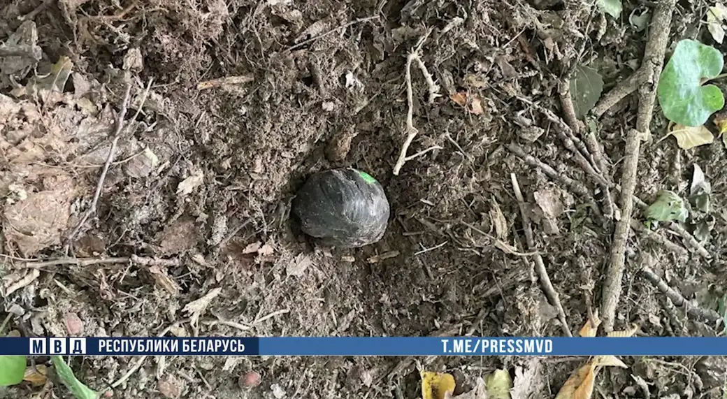 Фото: МВД РБ