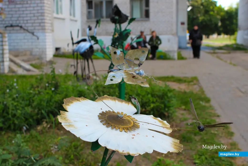 23 августа 2024 года. Могилев. Двор дома по улице Симонова, 12.