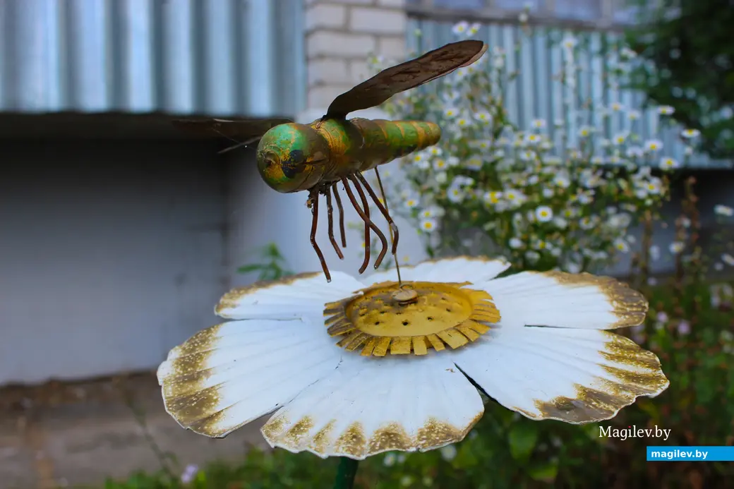 23 августа 2024 года. Могилев. Двор дома по улице Симонова, 12.