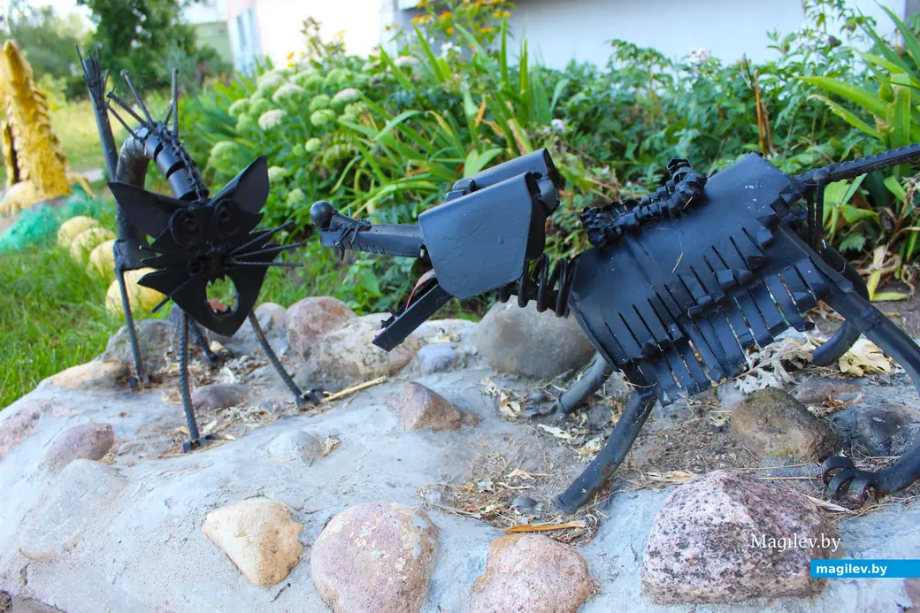 23 августа 2024 года. Могилев. Двор дома по улице Симонова, 12.