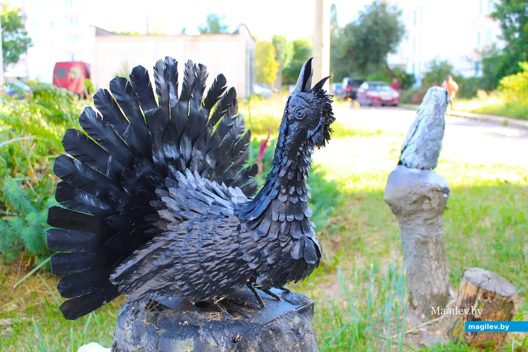 23 августа 2024 года. Могилев. Двор дома по улице Симонова, 12.