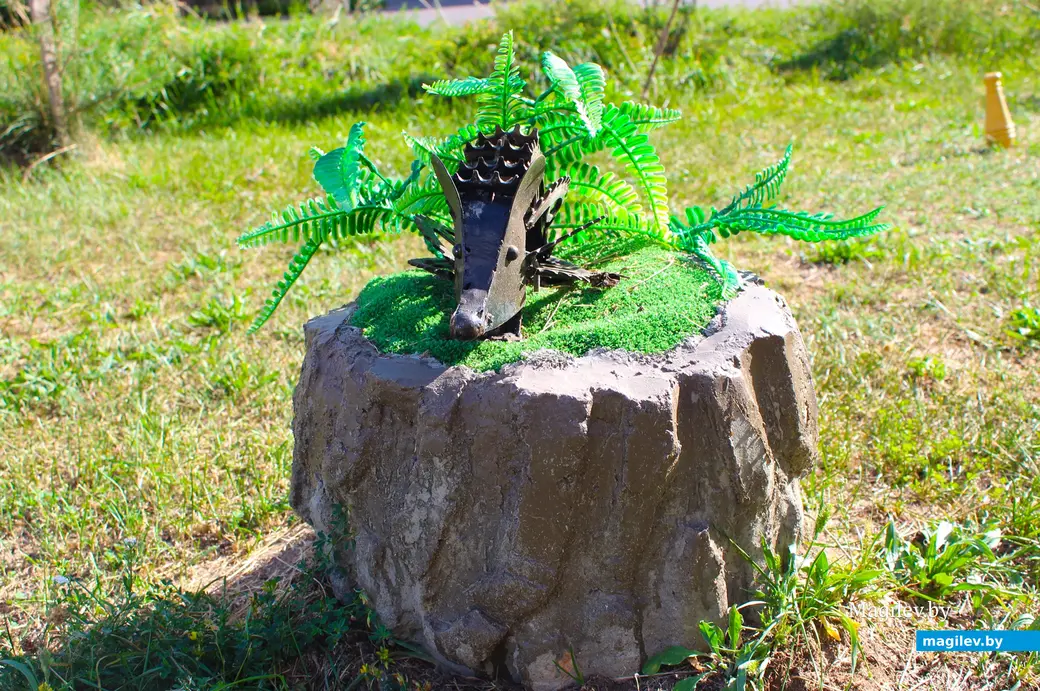 23 августа 2024 года. Могилев. Двор дома по улице Симонова, 12.