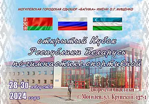 Открытый Кубок Беларуси по спортивной гимнастике стартует 28 августа в Могилеве