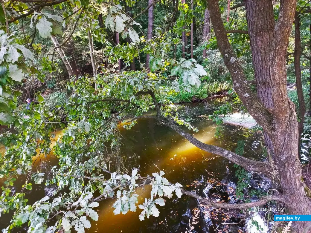 28.08.2024., Могилев, Печерское озеро.