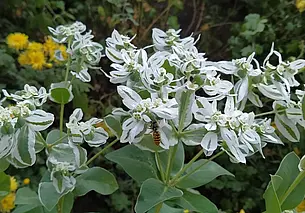 Лето заканчивается жарой, ею же начинается осень