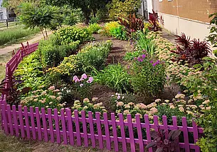 Клумба в Могилеве, у которой останавливаются прохожие. Фотофакт