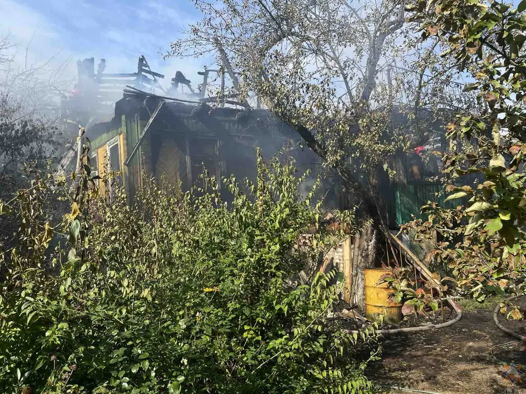 2.09.2024 г. Могилевский район. Пожар в садовом товариществе «Строитель-1». Фото: Могилевское областное УМЧС
