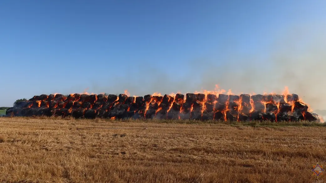 3.09.2024 г. Кричевский район. Фото: Могилевское областное УМЧС