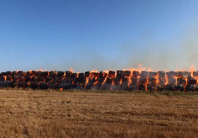 120 тонн соломы сгорело в Кричевском районе