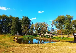 Кувшинки могилевской Казимировки: им красоты не занимать