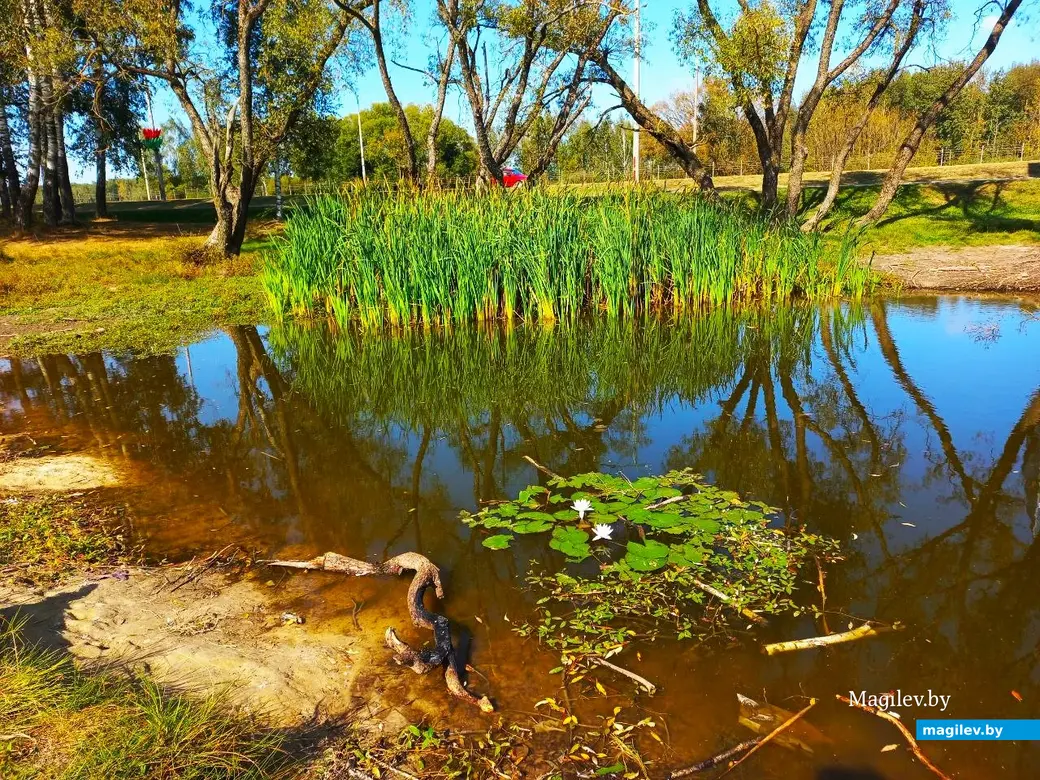 Сентябрь 2024 года, Могилев, микрорайон Казимировка.