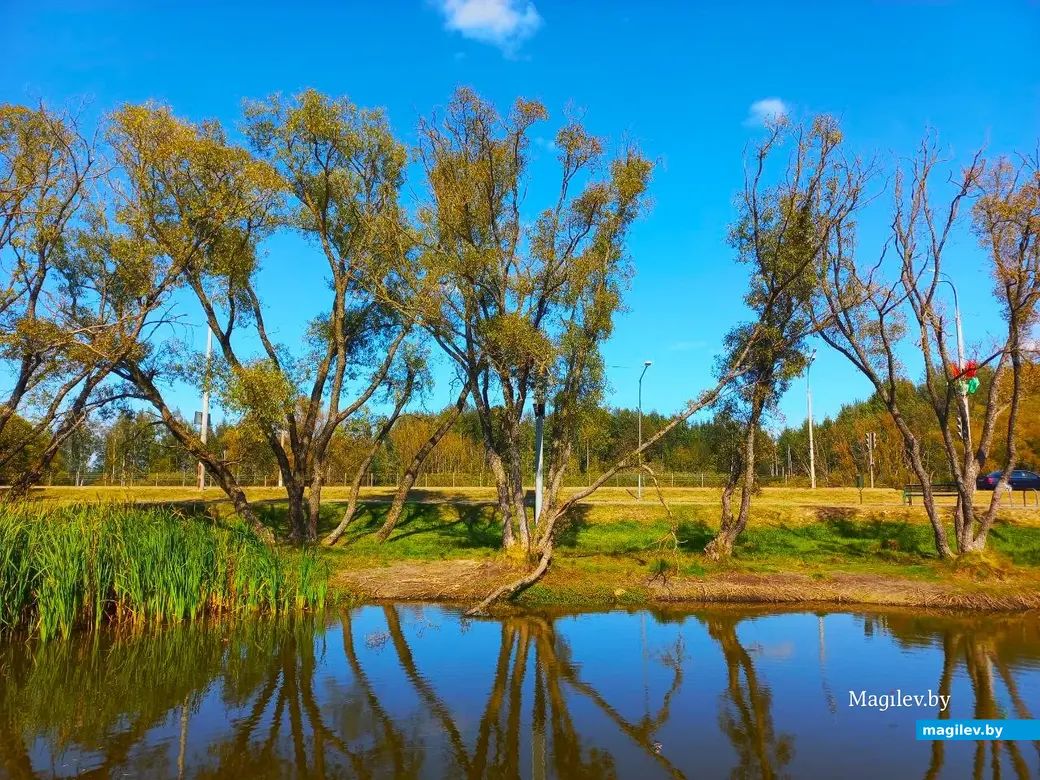 Сентябрь 2024 года, Могилев, микрорайон Казимировка.