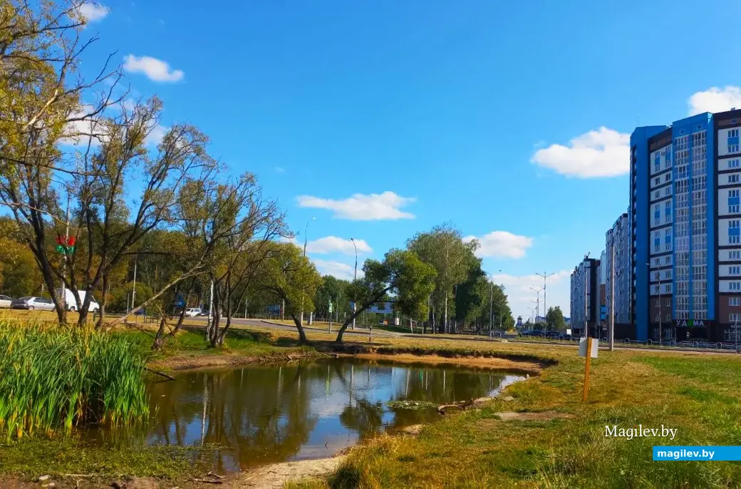 Сентябрь 2024 года, Могилев, микрорайон Казимировка.