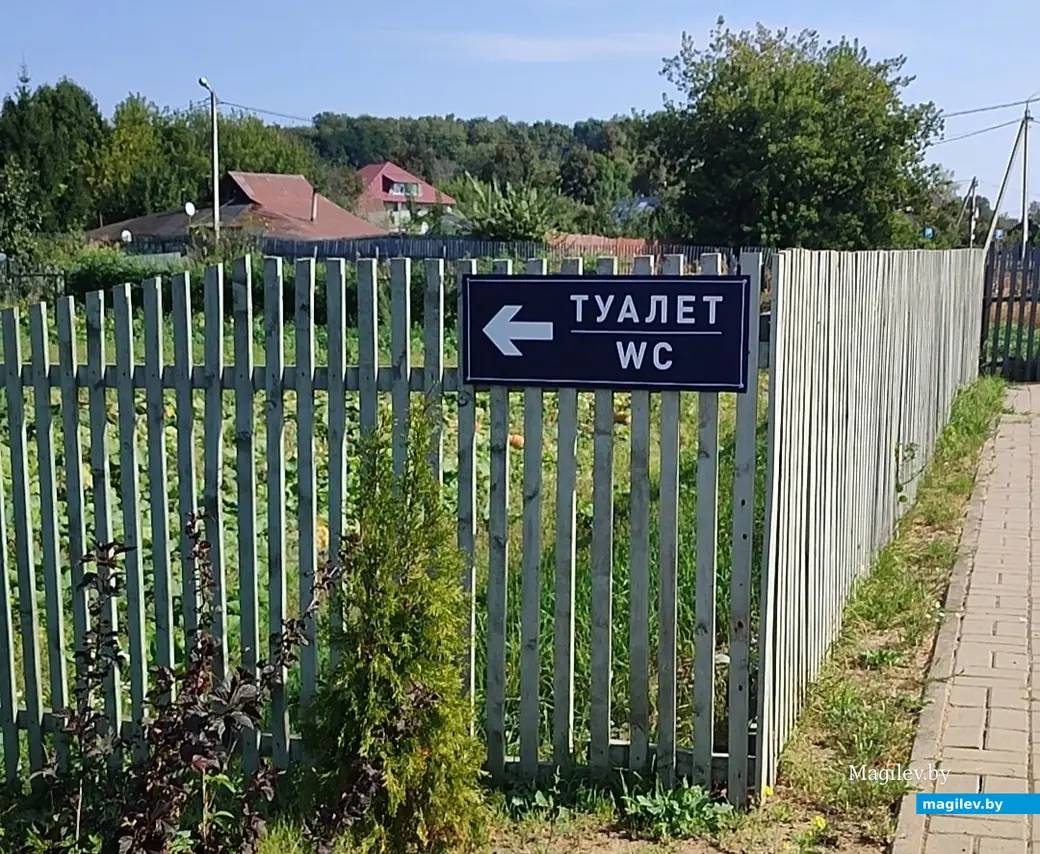 Сентябрь, 2024 г. Бесплатный общественный туалет в парке в Подниколье.