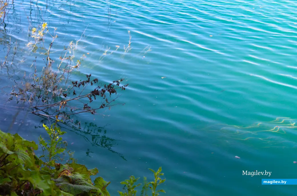 Сентябрь 2024 года. Кричевский район Могилевской области. Меловые карьеры.