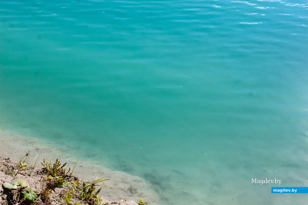 Сентябрь 2024 года. Кричевский район Могилевской области. Меловые карьеры.