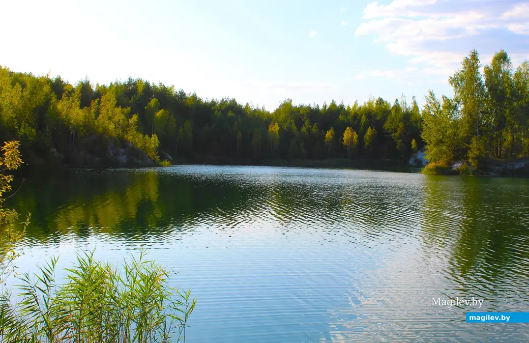 Сентябрь 2024 года. Климовичский район Могилевской области. Меловые карьеры.